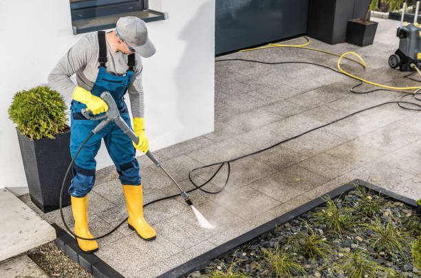 Best Pressure Washing Near Me  in Williamstown, PA