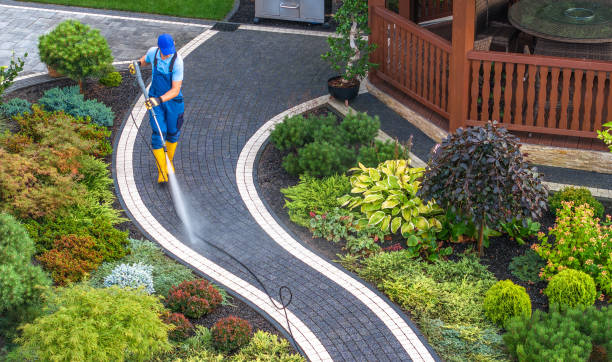 Best Pressure Washing Company Near Me  in Williamstown, PA